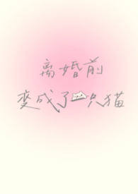 鲤鱼玩我变成了一只猫